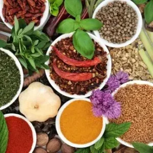 Food and Spices