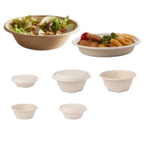 Bagasse Containers